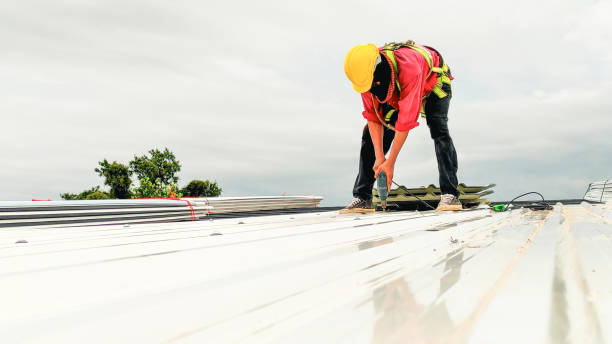 Best Asphalt Shingle Roofing  in Greenville, NY